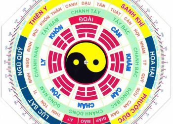 menh-cung-phi-la-gi-menh-cung-sinh-la-gi