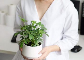 menh-thuy-nen-trong-cay-gi-de-may-man-va-tai-loc