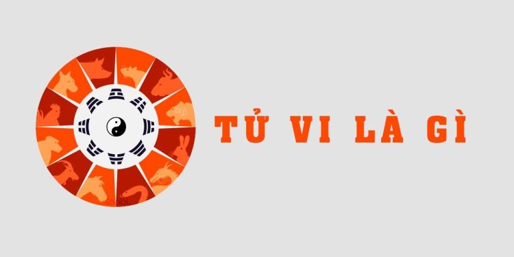 Tử Vi Là Gì? Hướng Dẫn Xem Lá Số Tử Vi Như Thế Nào? 1 tu-vi-la-gi-nguoi-ta-thuong-dung-tu-vi-de-luan-giai-ve-so-phan-con-nguoi