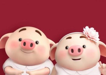 tuoi-hoi-hop-tuoi-gi-mau-gi-trong-tu-vi-phong-thuy