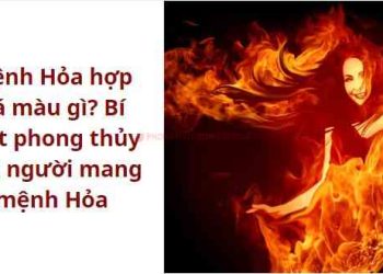 da-phong-thuy-nen-chon-loai-nao-tot-nhat