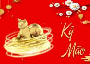 ky-mao-hop-mau-gi-nhat-trong-phong-thuy