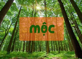 menh-moc-khac-gi-trong-phong-thuy