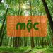 Mộc Khắc Gì? Mộc Hợp Gì? Mệnh Mộc Nên Làm Gì Để Thành Công? 14 menh-moc-khac-gi-trong-phong-thuy