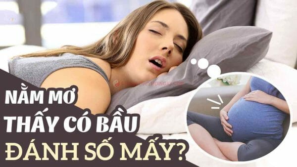 Mơ Thấy Có Bầu Là Điềm Gì? Nên Đánh Số Bao Nhiêu Để May Mắn? 1 mo-thay-co-bau-la-diem-hen-hay-xui