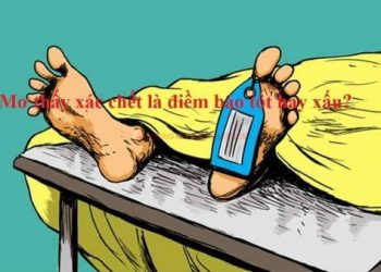 mo-thay-xac-chet-bao-hieu-dieu-gi-den-ban