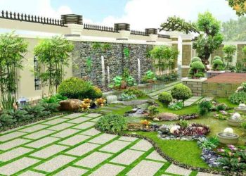 sinh-khi-la-gi-ma-chung-ta-can-phai-quan-tam