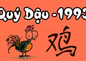 sinh-nam-1993-tuoi-gi-trong-phong-thuy