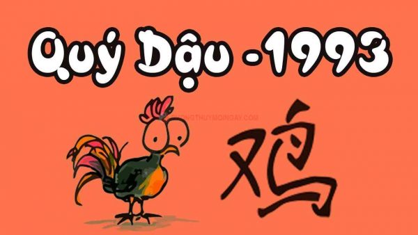Sinh Năm 1993 Tuổi Gì? Hợp Và Khắc Với Mệnh Nào, Màu Nào? 1 sinh-nam-1993-tuoi-gi-trong-phong-thuy