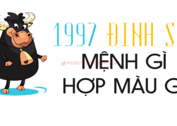 tuoi-dinh-suu-hop-mau-gi-trong-phong-thuy