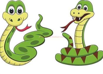 tuoi-ty-hop-voi-mau-gi-ky-mau-gì