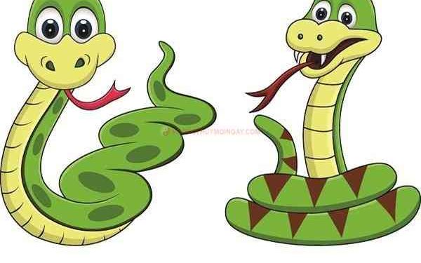 tuoi-ty-hop-voi-mau-gi-ky-mau-gì