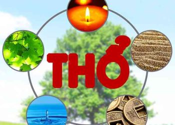 mang-tho-hop-voi-menh-gi-khac-menh-gi-trong-phong-thuy