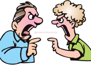 mo-thay-cai-nhau-danh-con-gi-may-man