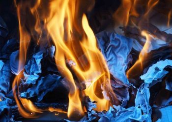 phong-long-la-gi-co-xui-khong