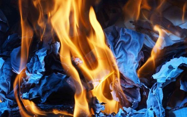 Phong Long Là Gì? Những Cách Đốt Phong Long Hiệu Quả Nhất? 1 phong-long-la-gi-co-xui-khong