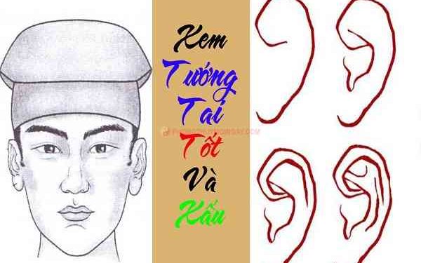 Xem Tướng Tai Đoán Tính Cách, Vận Mệnh Con Người 1 xem-tuong-tai-tot-va-xau