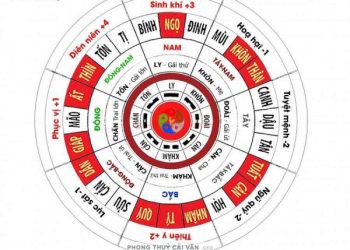 dong-tu-menh-trong-phong-thuy