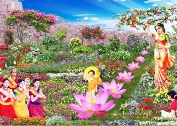 le-phat-dan-ngay-may-trong-nam-2020