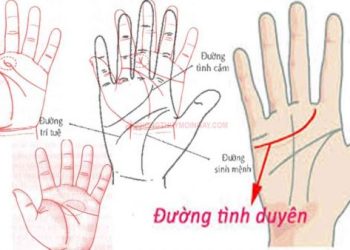 xem-chi-tay-duong-tinh-duyen-cua-mot-nguoi