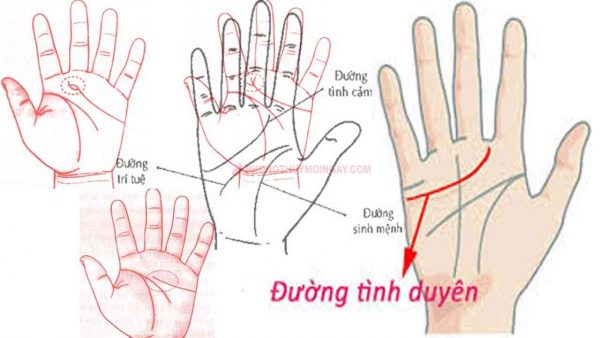 Xem Chỉ Tay Đường Tình Duyên Đoán Vận Mệnh Một Người 1 xem-chi-tay-duong-tinh-duyen-cua-mot-nguoi