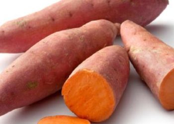 10 LỌ THUỐC BỔ CÒN THUA ĂN KHOAI LANG MỖI NGÀY