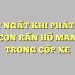 PHÁT NGẤT KHI PHÁT HIỆN 3 CON RẮN HỔ MANG TRONG CỐP XE 44 PHÁT NGẤT KHI PHÁT HIỆN 3 CON RẮN HỔ MANG TRONG CỐP XE