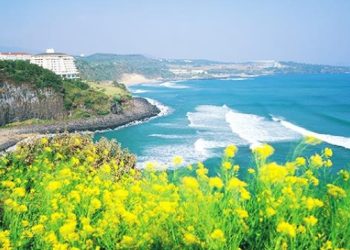 NHỮNG ĐỊA ĐIỂM NÊN ĐI KHI CHỌN ĐIỂM DU LỊCH